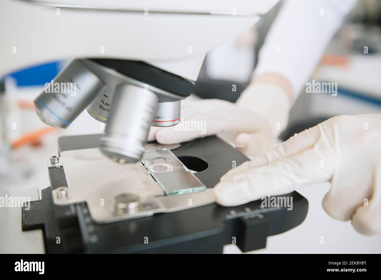 Schnittansicht der Hände des Wissenschaftlers Puting Probe zu analysieren Mit dem Mikroskop im Labor Stockfoto