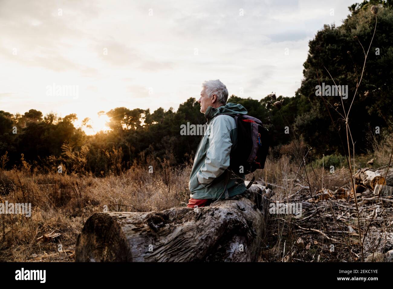 Älterer männlicher Wanderer mit Händen in Taschen auf Holz sitzend Protokollieren Sie, während Sie am Wochenende die Aussicht betrachten Stockfoto