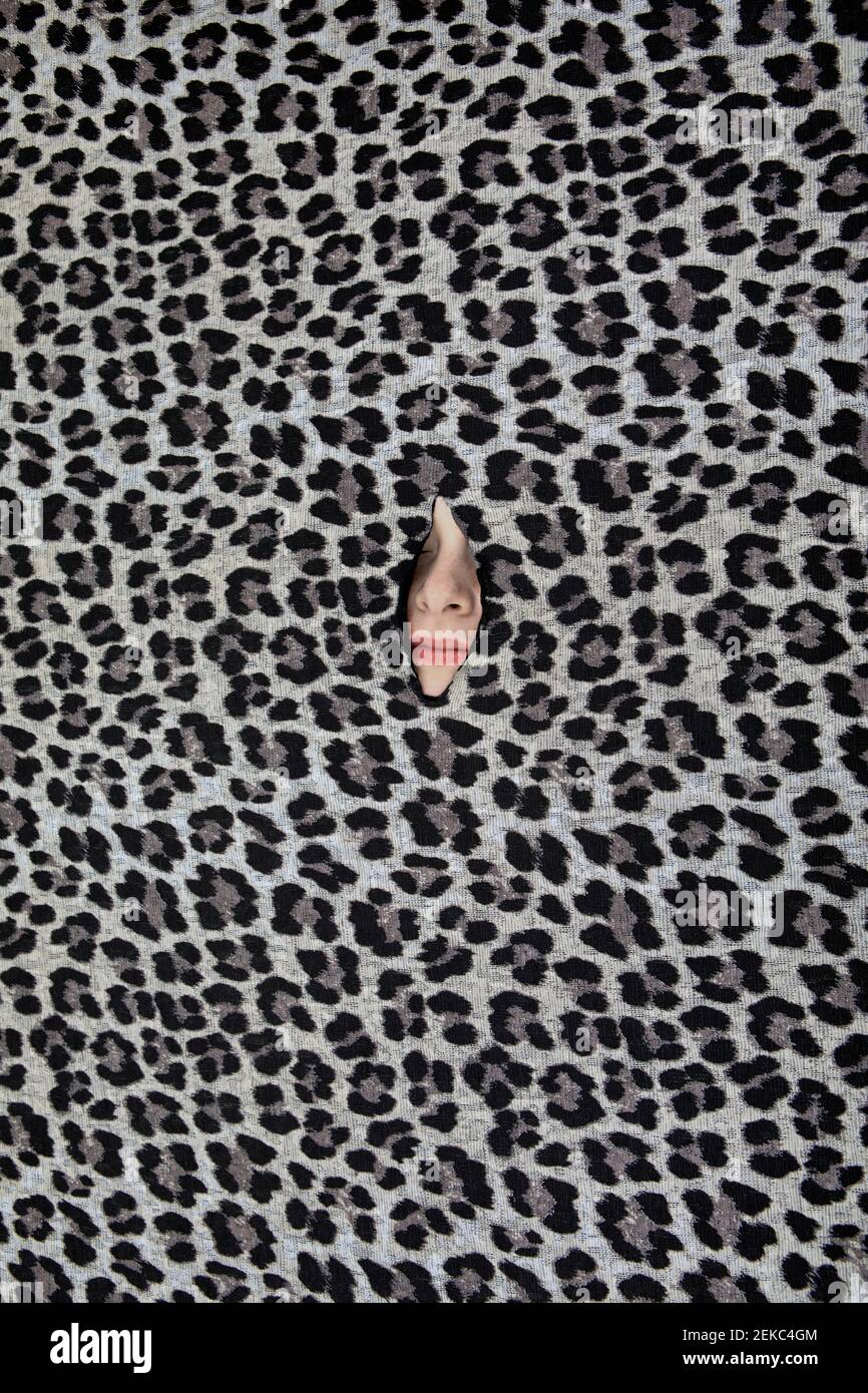 Nase des Teenagers guckt durch Loch im Leopardendruck Muster Stockfoto
