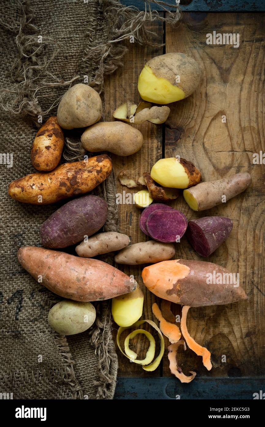 Verschiedene Kartoffelsorten: Glorietta, violette Süßkartoffel, Agria, Annabelle, Bamberger Hoerndl, Gala auf rustikalem Hintergrund Stockfoto