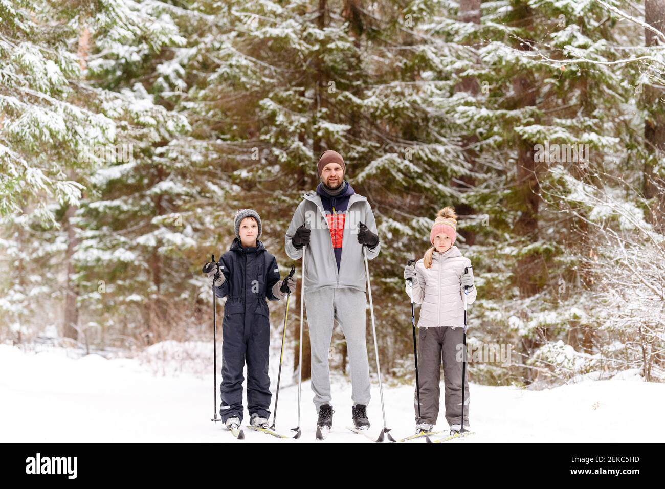 Vater und Kinder Skifahren gegen Bäume im Wald im Winter Stockfoto