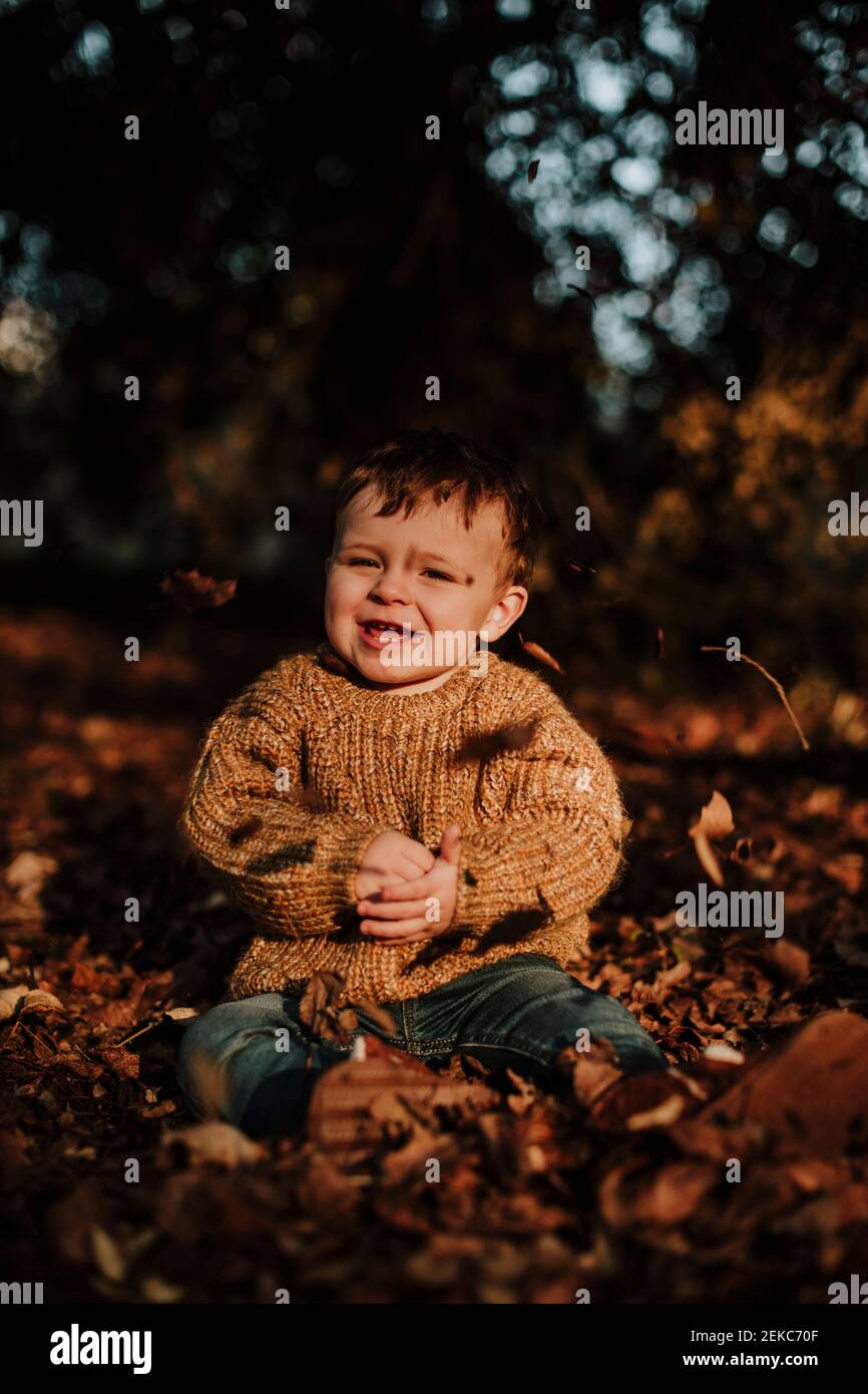 Fröhliches Kleinkind, das mit Strickmütze auf trockenen Herbstblättern sitzt und im Wald wegschaut Stockfoto