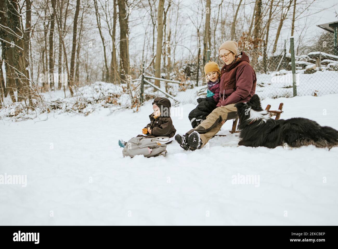 Frauen mit Töchtern und Border Collie verbringen Wochenende zusammen während Winter im Schnee Stockfoto