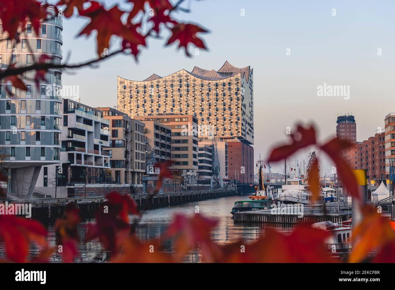 Deutschland, Hamburg, HafenCity mit Sandtorhafen und Elbphilharmonie im Herbst Stockfoto