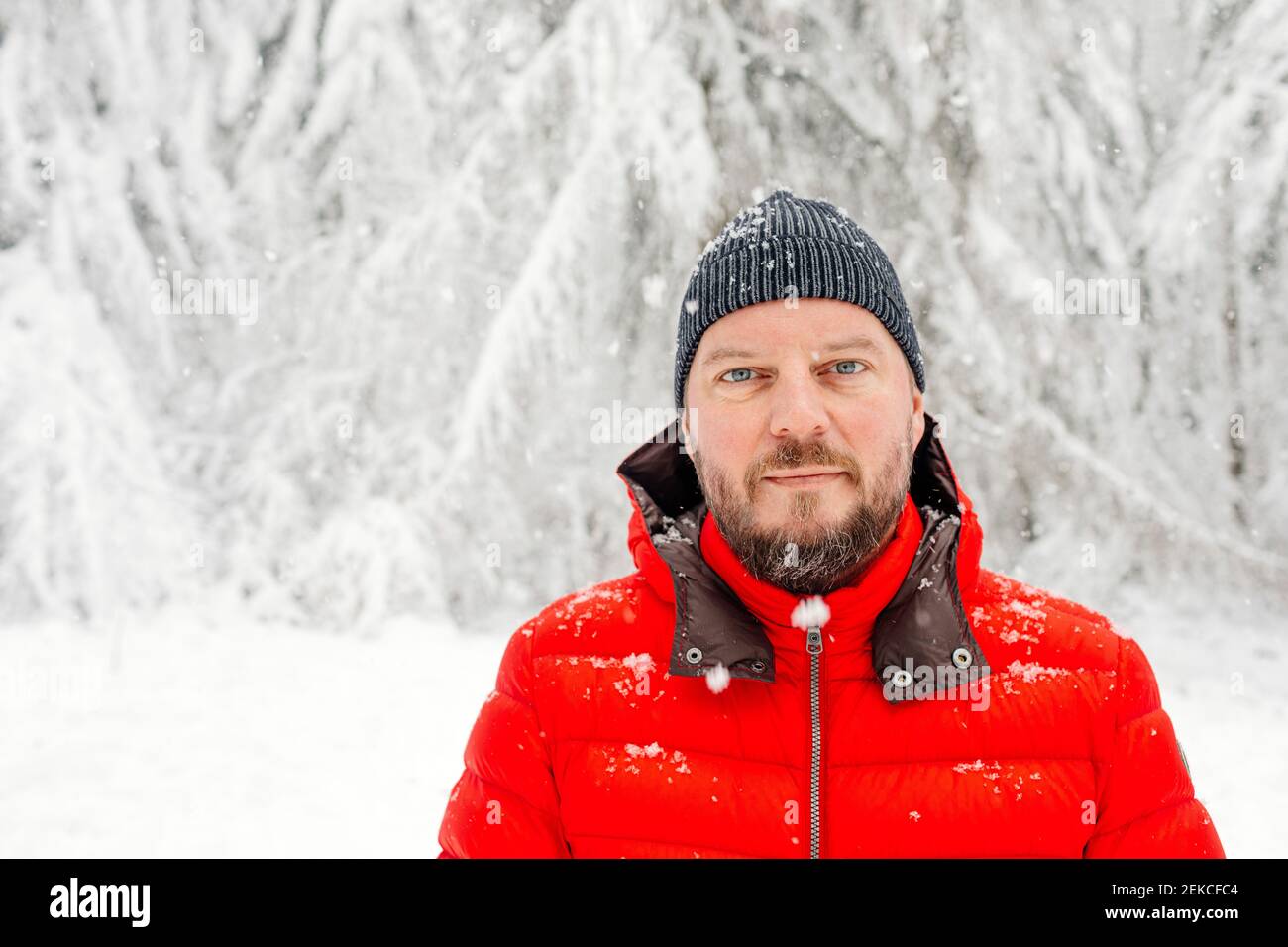 Reifer Mann mit Strickmütze starrt, während er im Wald steht Während des Schnees Stockfoto