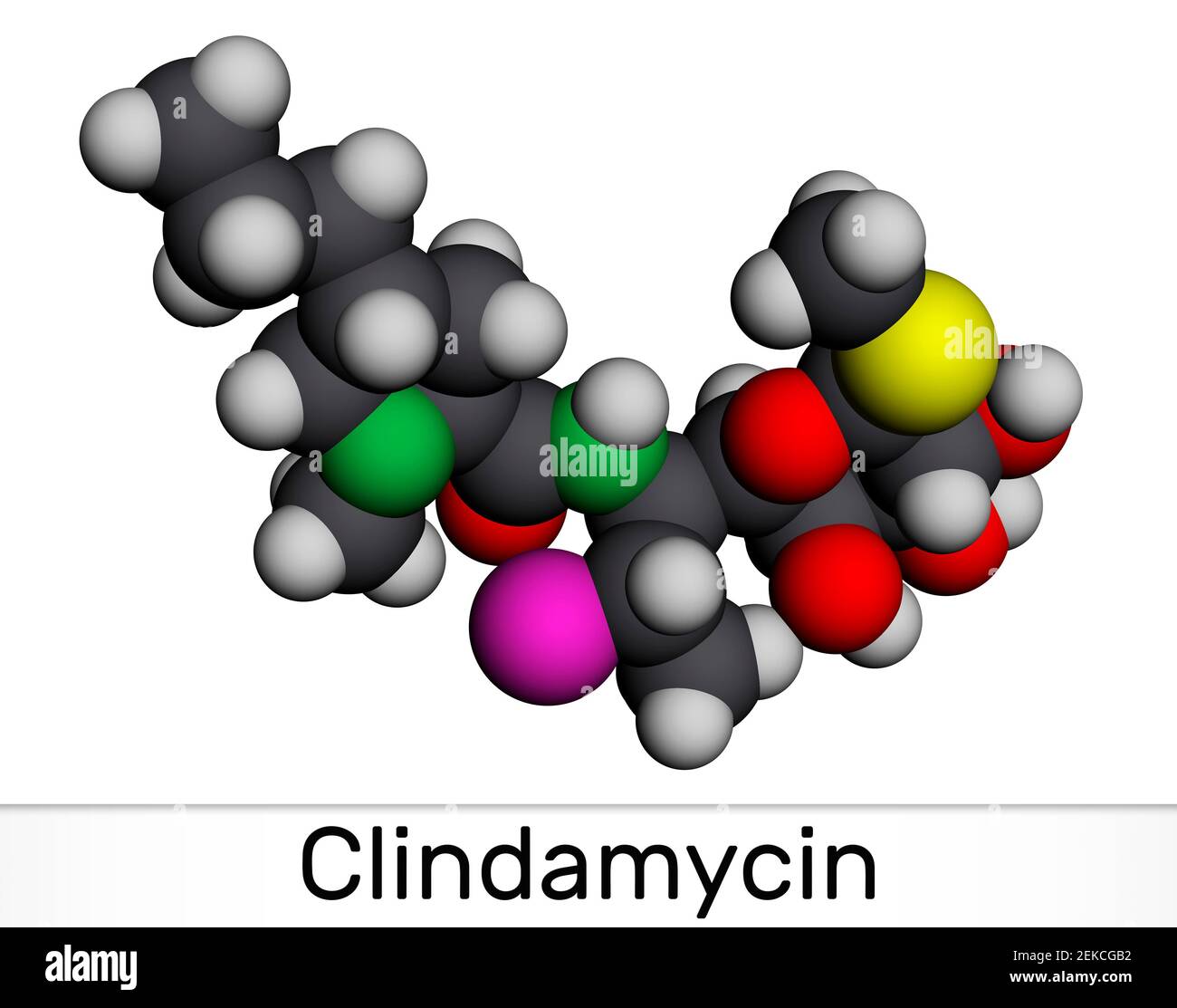 Cladamycin-Molekül. Es ist Lincosamid antibakterielle Droge, semisynthetische Breitband-Antibiotikum. Molekularmodell. 3D Rendern. 3D Abbildung Stockfoto