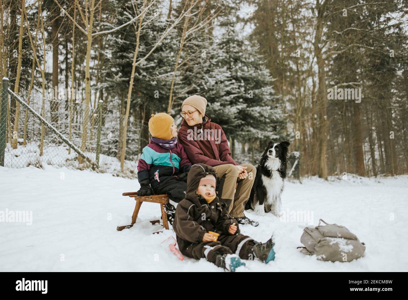 Lächelnde Frau mit Mädchen Kind sitzt auf Schlitten, während Ausgaben Wochenende Grenze Collie im Winter Stockfoto