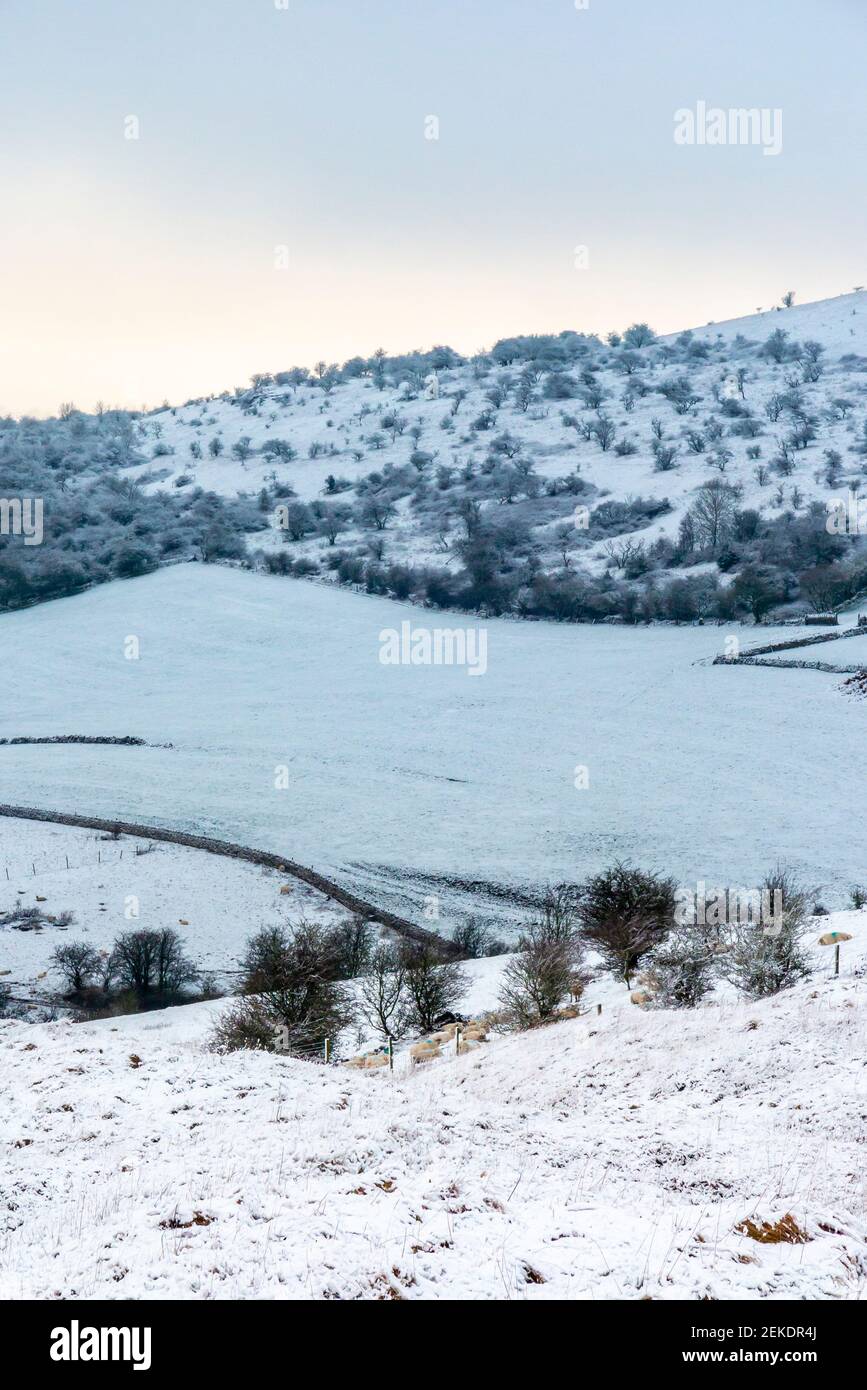 Schneebedeckte Landschaft mit Feldern und Hügeln in der Nähe von Wardlow in The Peak District National Park Derbyshire Dales England Stockfoto