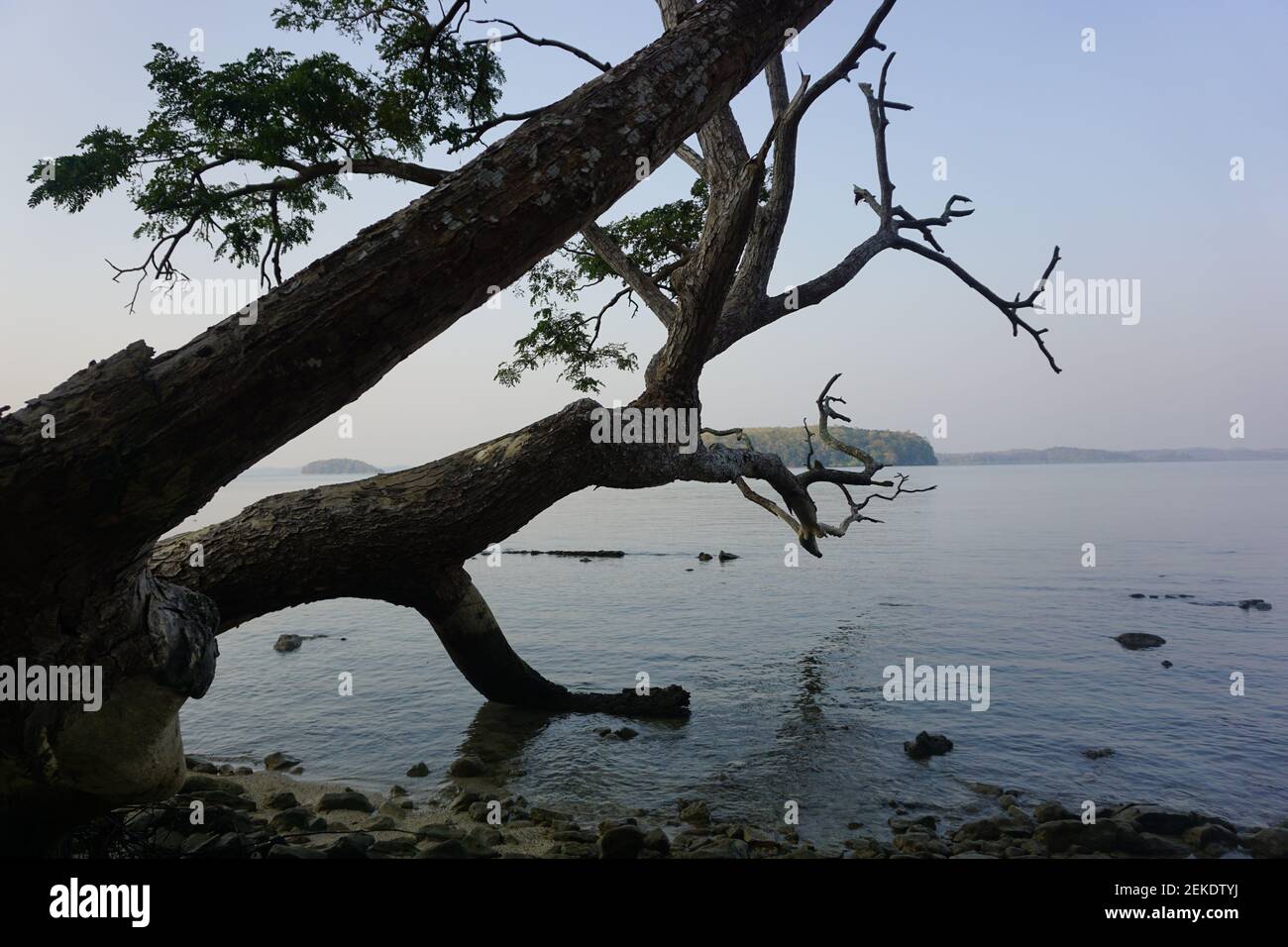 Andamansea Stockfoto
