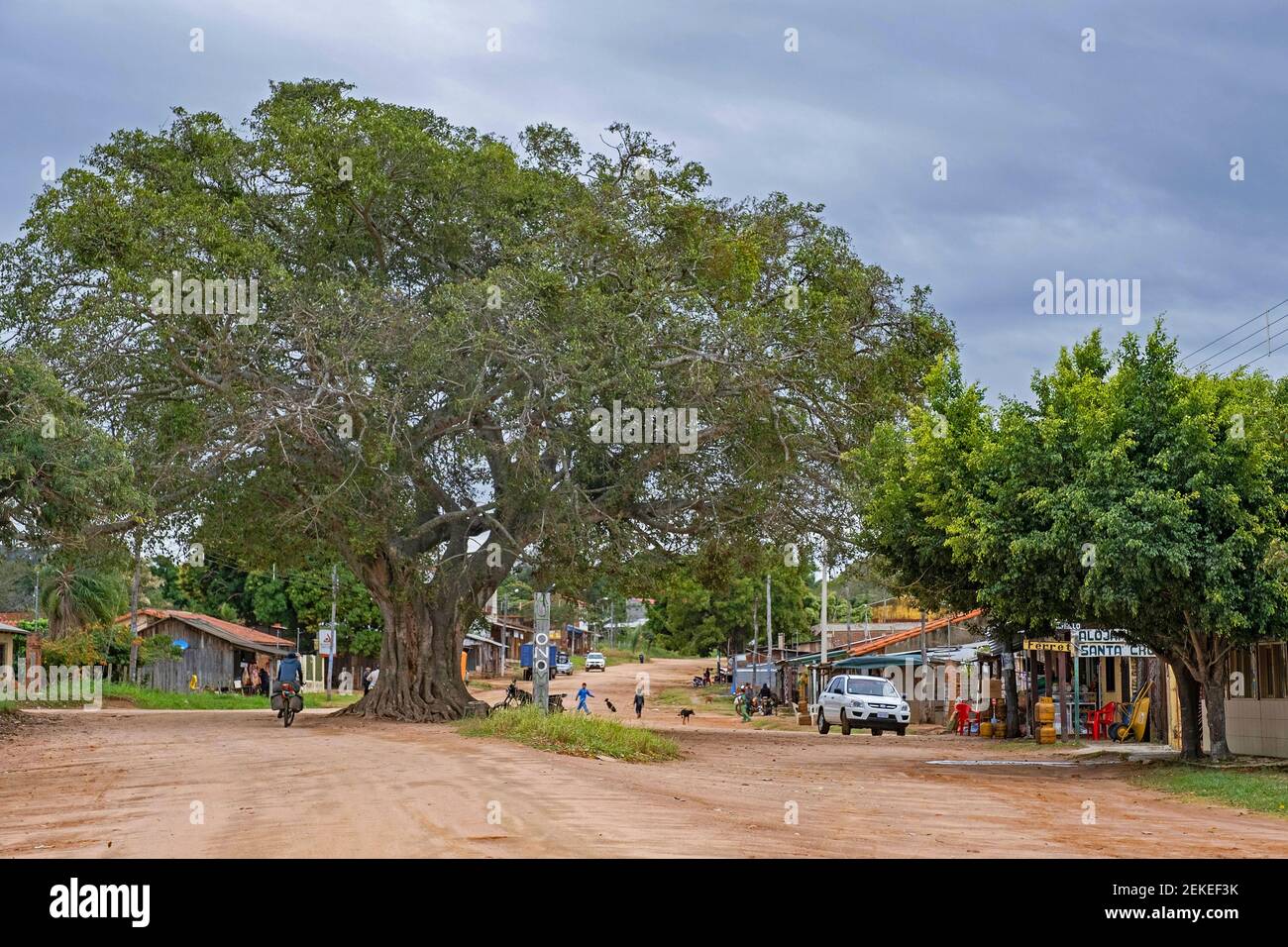 Straßenszene mit großen Bäumen im Dorf El Puente im Amazonasgebiet, Provinz Guarayos, Departamento Santa Cruz, Bolivien Stockfoto