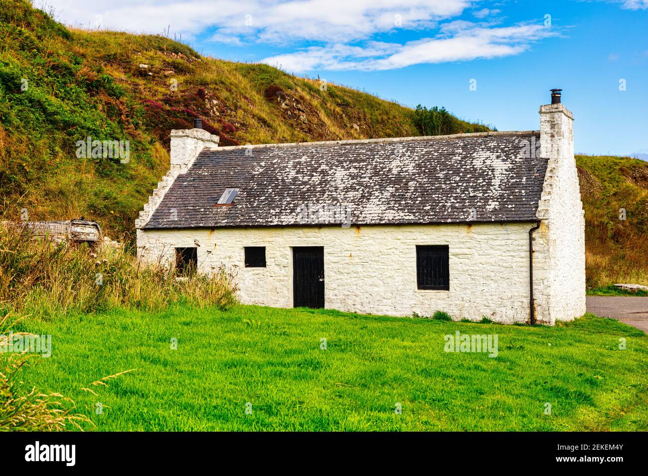 Alter Steinlachs in Dunbeath Harbour, Dùn Bheithe, Caithness, North Coast 500, Highlands Scotland Stockfoto