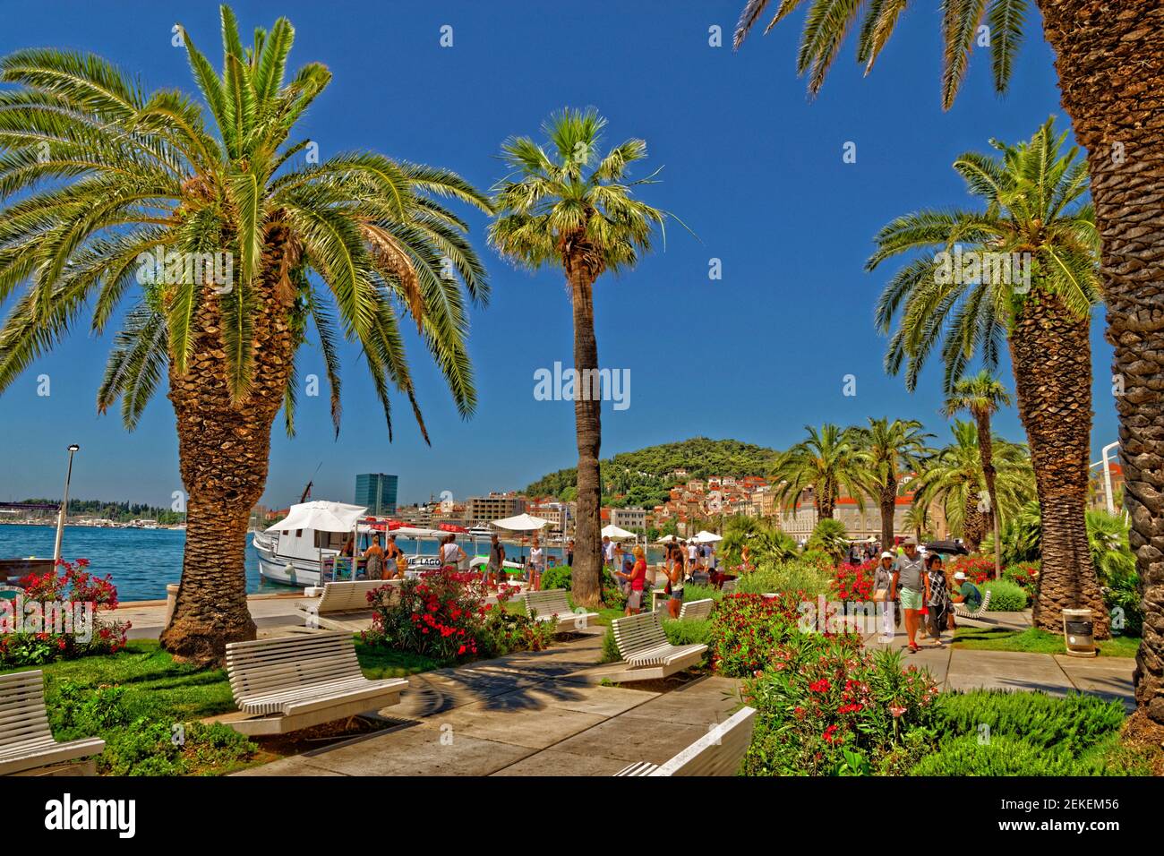 Waterfront und die Promenade im Zentrum von Split, Dalmatien, Kroatien. Stockfoto