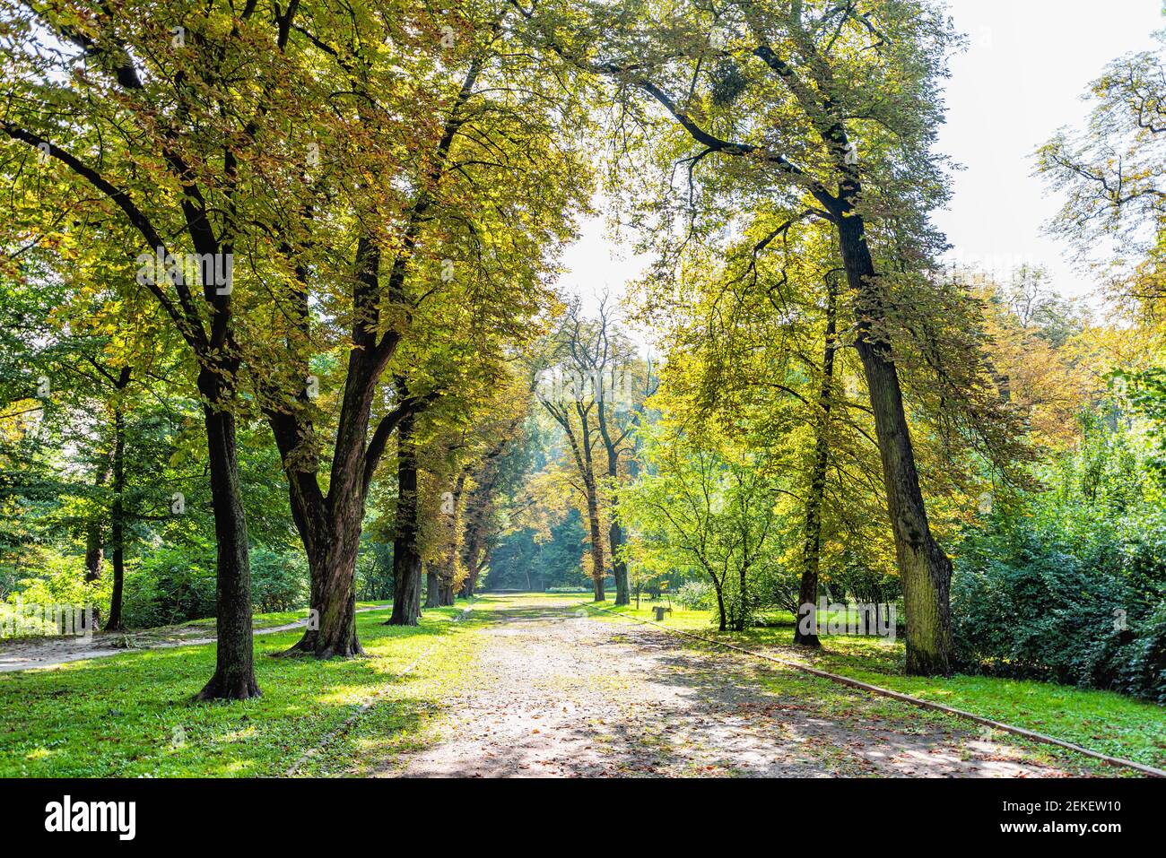 Lviv, Ukraine Ukrainische Stadt Altstadt mit Gasse Weg im Park während des Sommers zum High Castle Hill und niemand mit gelben Laub auf Bäumen Stockfoto