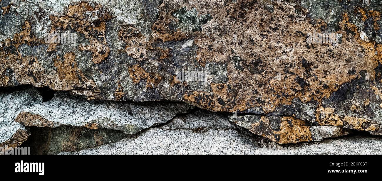 Bunte Flechten auf Felsformation, Sonora Pass, Mono County, Kalifornien, USA Stockfoto