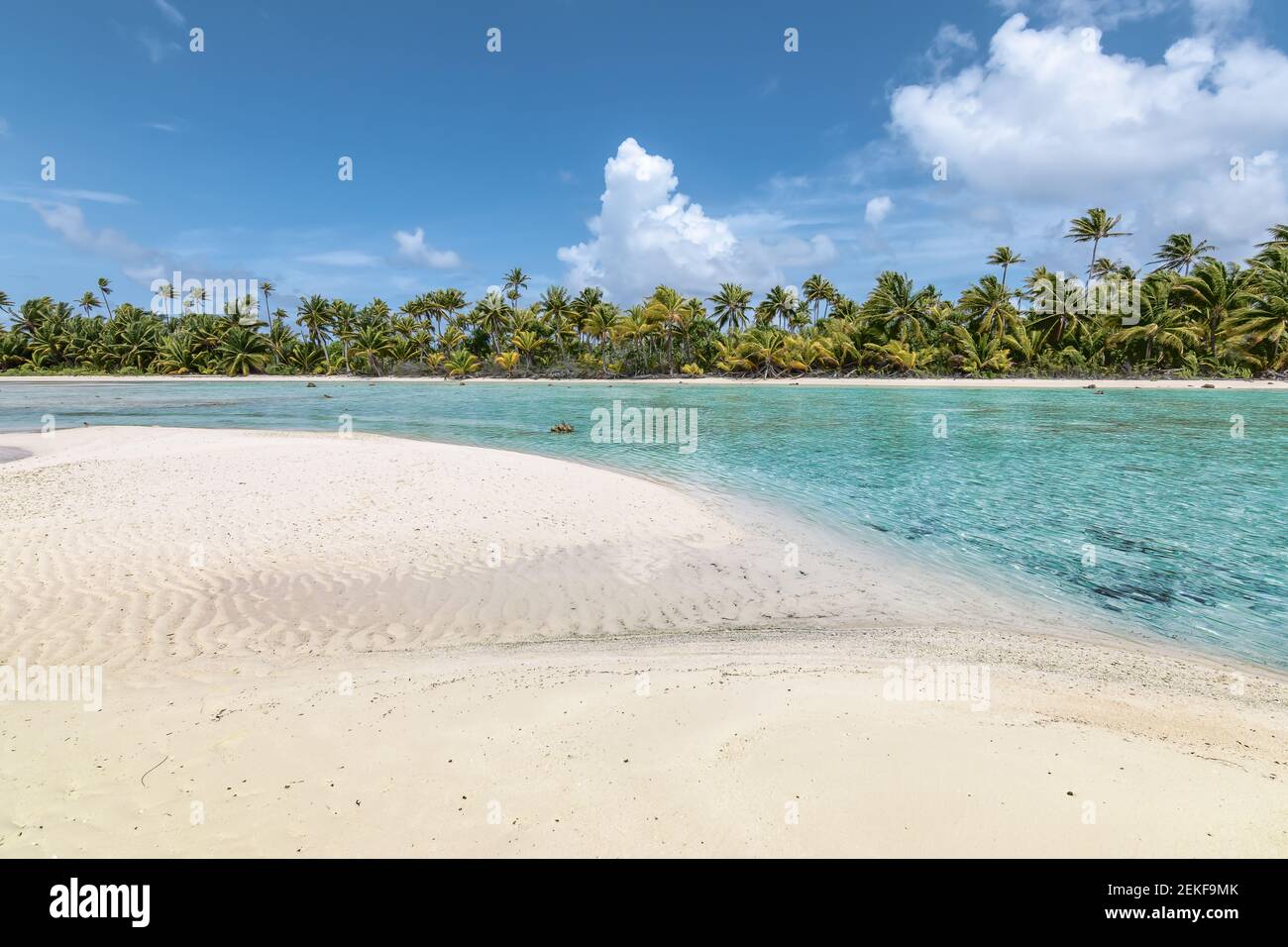 Tropischer Strand mit Palmen. Stockfoto