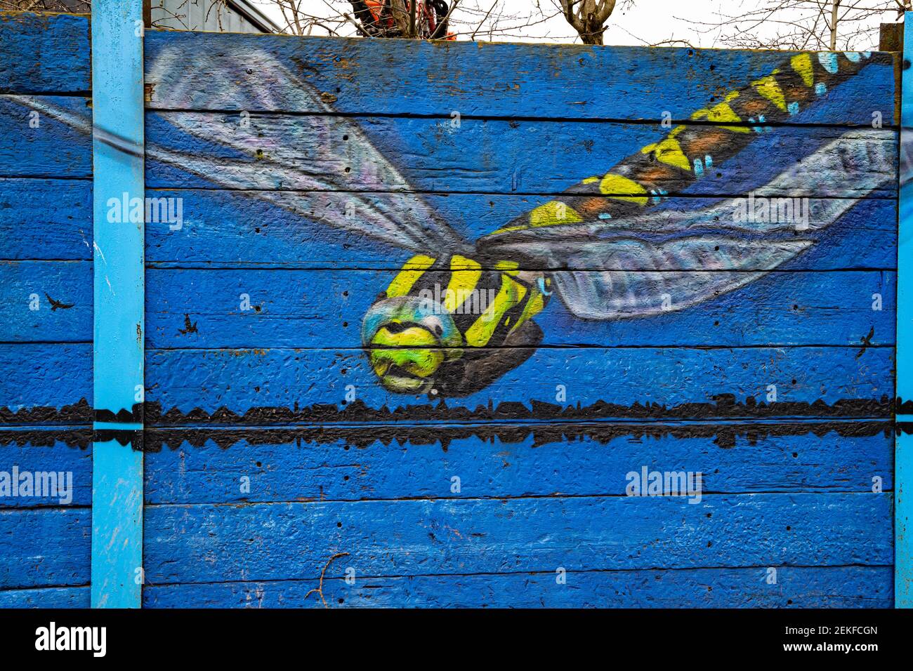 Wandbild einer Libelle auf einem Zaun am Trent und Mersey Kanal, Middleport, Stoke-on-Trent, Großbritannien Stockfoto