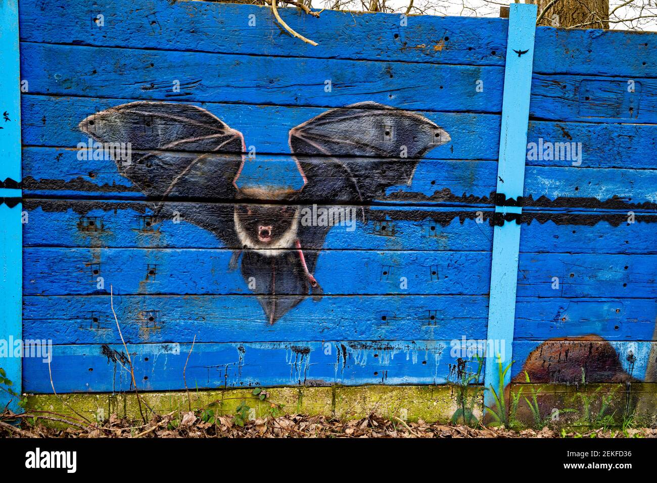 Wandbild einer Fledermaus auf einem Zaun am Trent und Mersey Kanal, Middleport, Stoke-on-Trent, Großbritannien Stockfoto