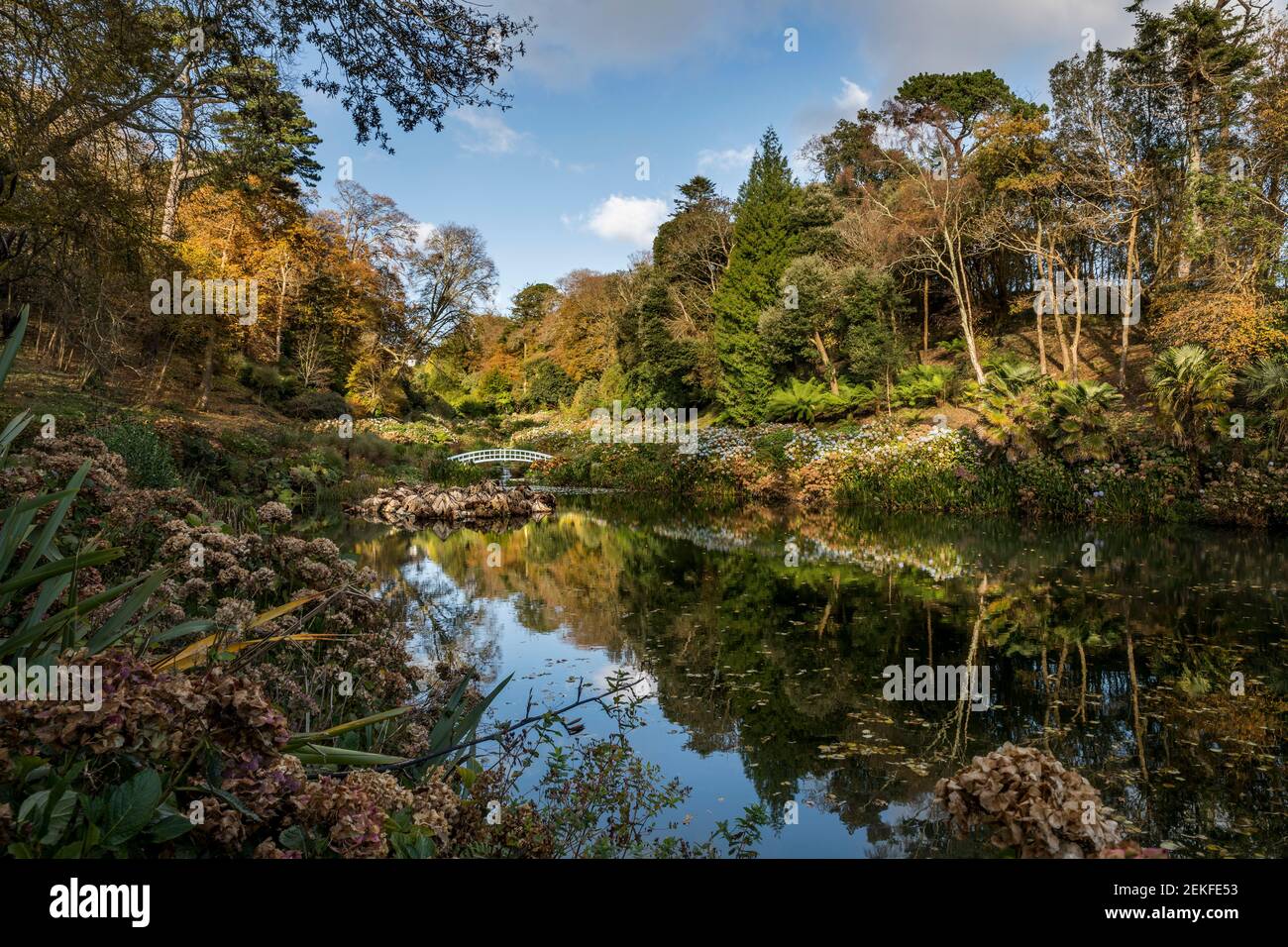 Trebah Garden; Herbst; Cornwall; UK Stockfoto