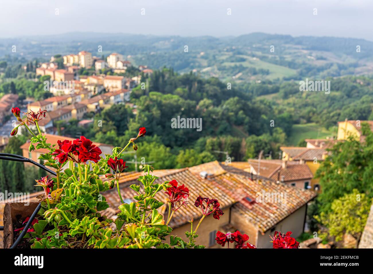 Chiusi, Italien Dachziegel Ansicht mit historischen alten mittelalterlichen Gebäuden der Stadt Dorf im Sommer mit Vordergrundrahmen von roten Geranienblumen Stockfoto