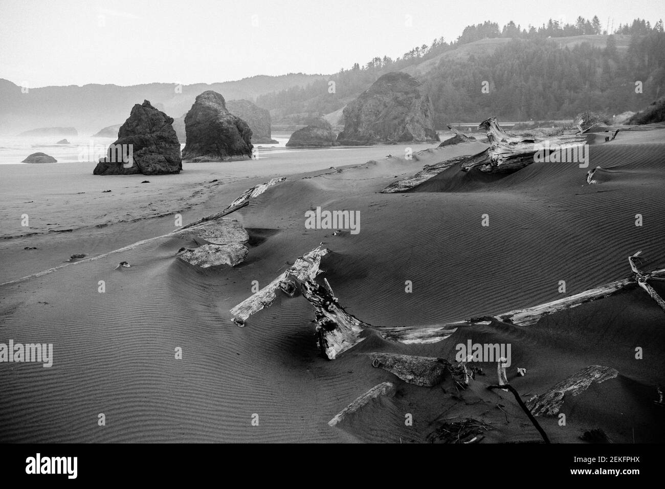 Windmuster in Sand in schwarz und weiß, Myers Creek Beach, Gold Beach, Oregon, USA Stockfoto