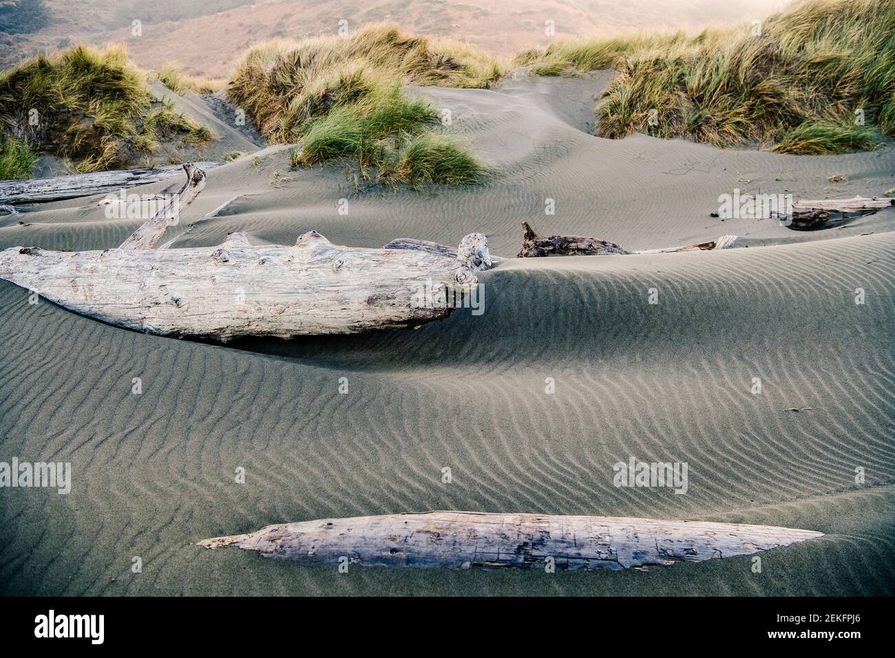 Windmuster im Sand, Myers Creek Beach, Gold Beach, Oregon, USA Stockfoto