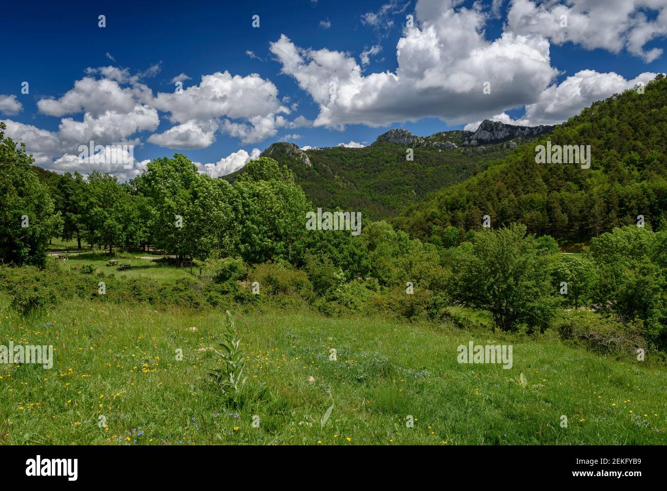 Catllaràs Aussicht von der Falgars-Wallfahrtskirche im Frühling (Berguedà, Katalonien, Spanien, Pyrenäen) Stockfoto