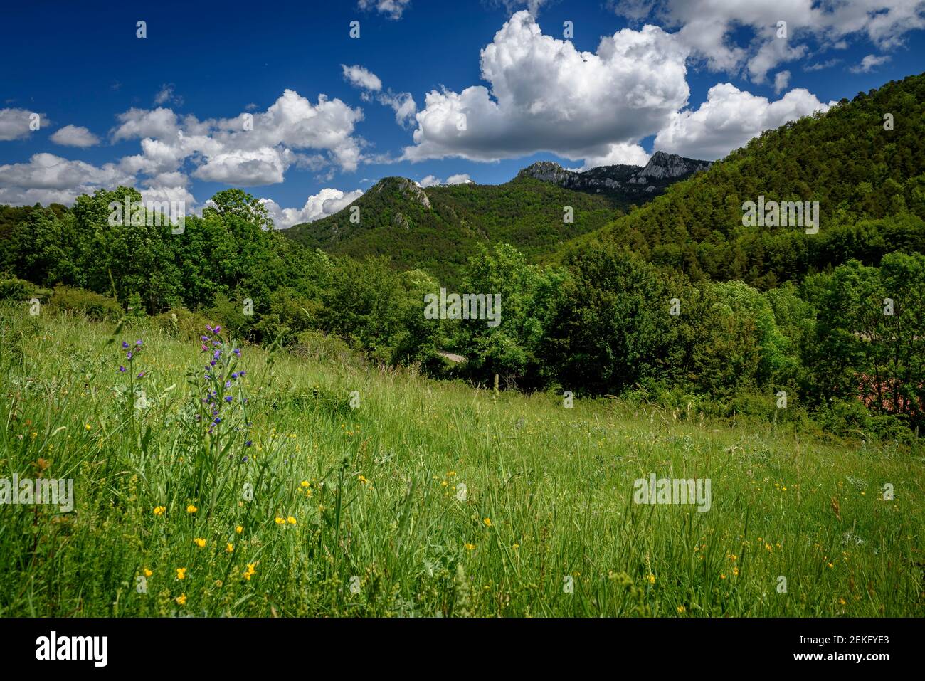 Catllaràs Aussicht von der Falgars-Wallfahrtskirche im Frühling (Berguedà, Katalonien, Spanien, Pyrenäen) Stockfoto