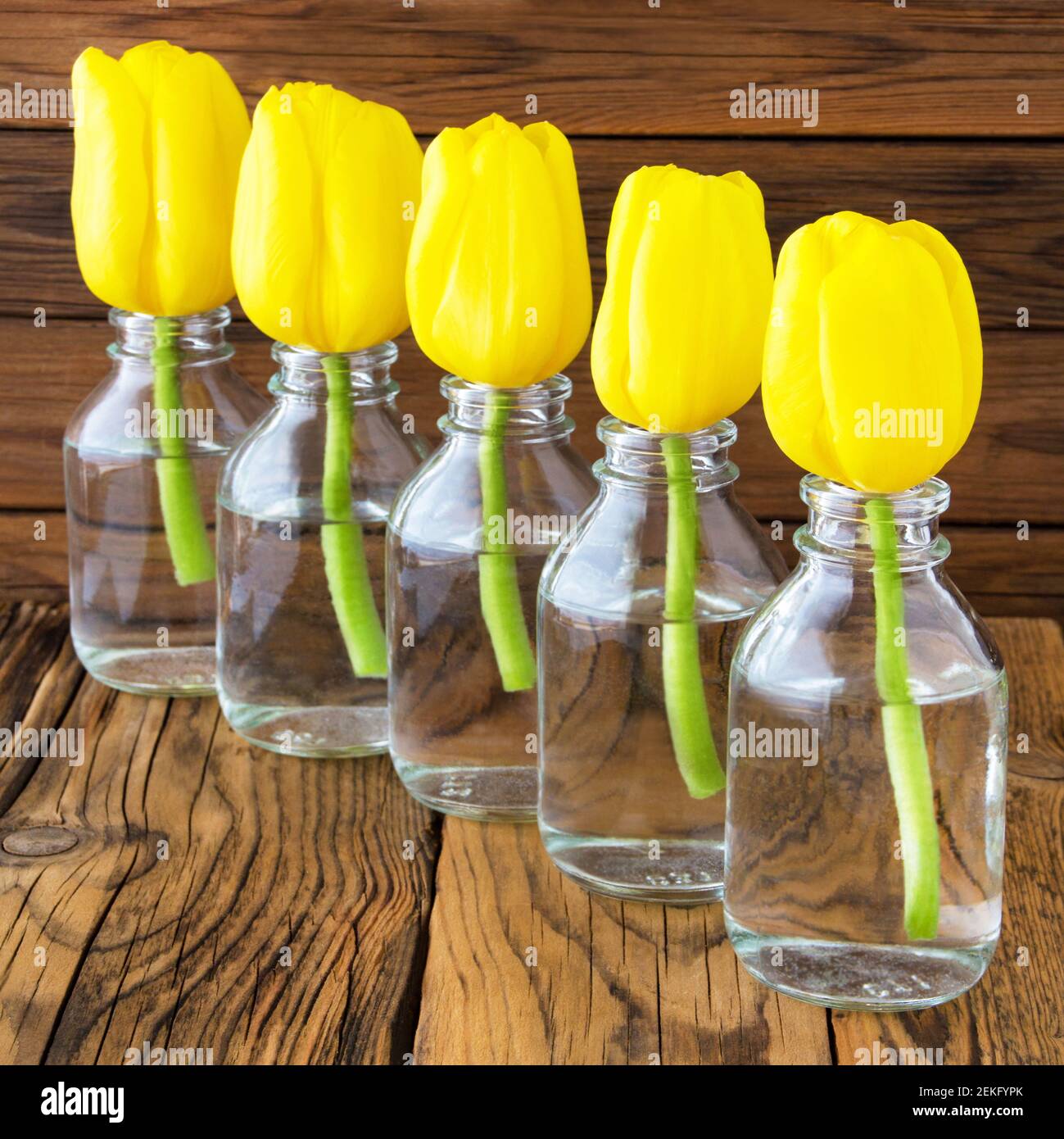 Gelbe Tulpen und Vasen auf Holz Stockfoto