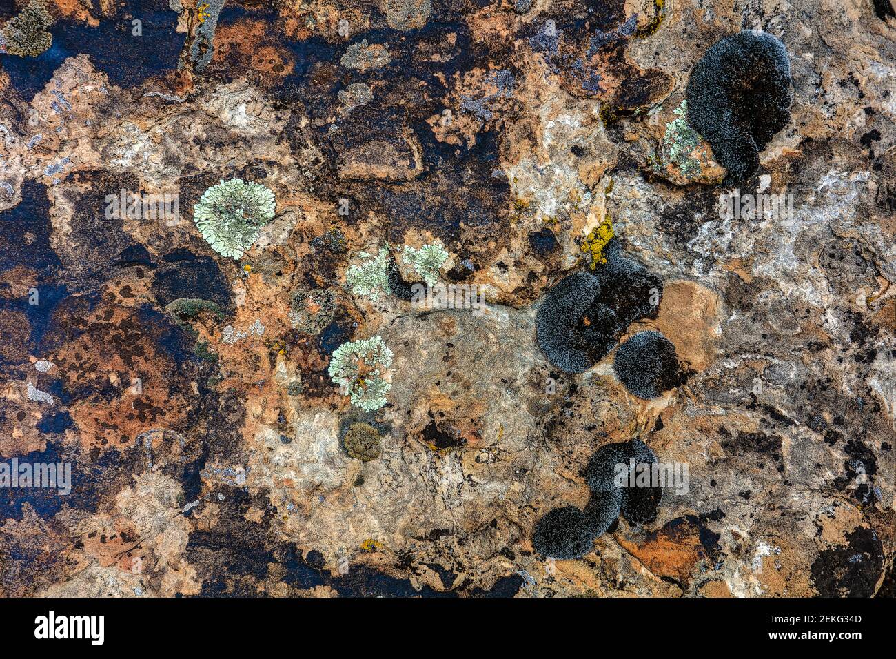 Devil's Canyon Tageswanderung - Springen Sie von der Prekambrian in die Trias und erreichen Sie die Jurassic. Stockfoto