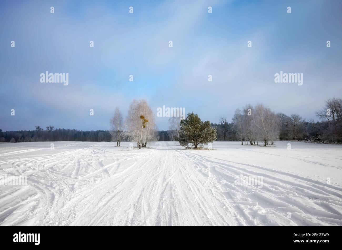 Winterlandschaft mit Landstraße mit Schnee bedeckt. Stockfoto