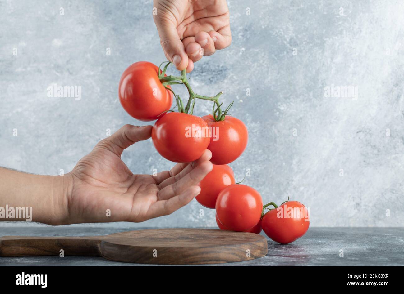 Mann Hände halten ein Bündel von saftigen Tomaten Stockfoto