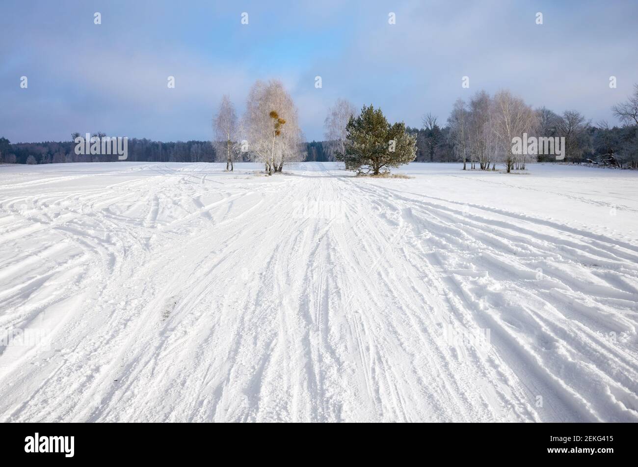 Winterlandschaft mit Landstraße mit Schnee bedeckt. Stockfoto