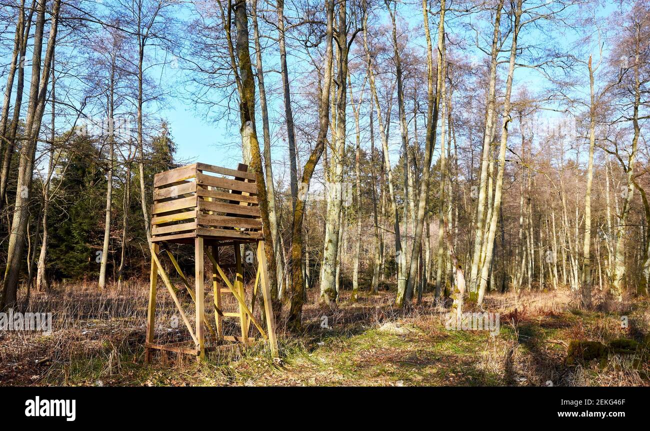 Offene Jagd blind im Wald. Stockfoto