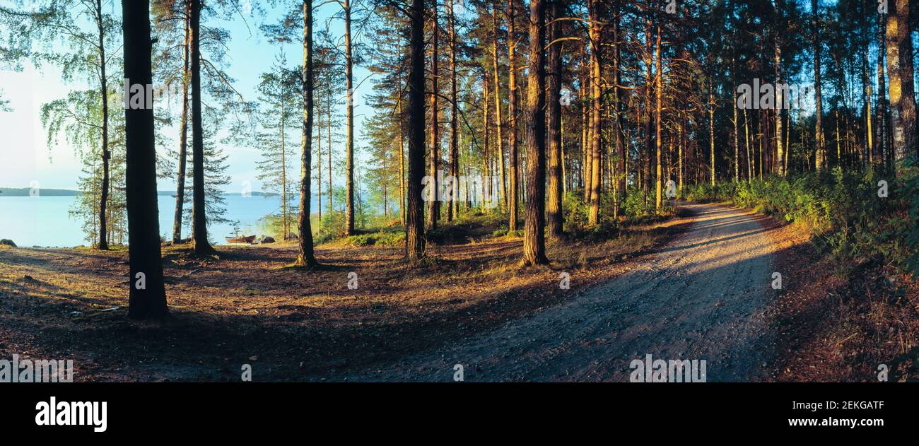 Wald, See und Schotterstraße, Saimaa-See, Joutseno, Südkarelien, Finnland Stockfoto