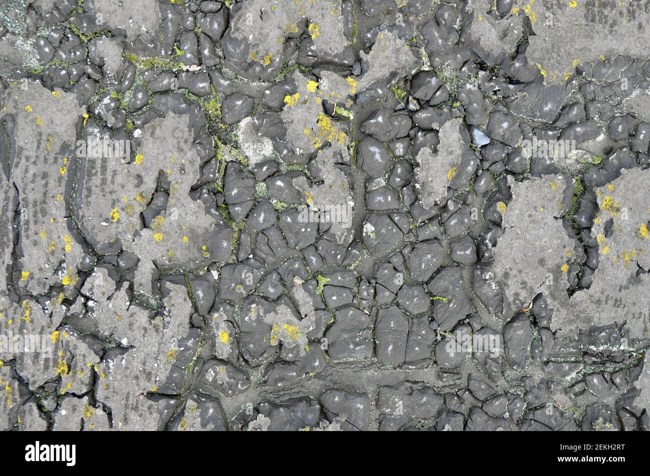 Alte wasserdichte Walzenüberdachung in Rissen und Moos. Textur Stockfoto