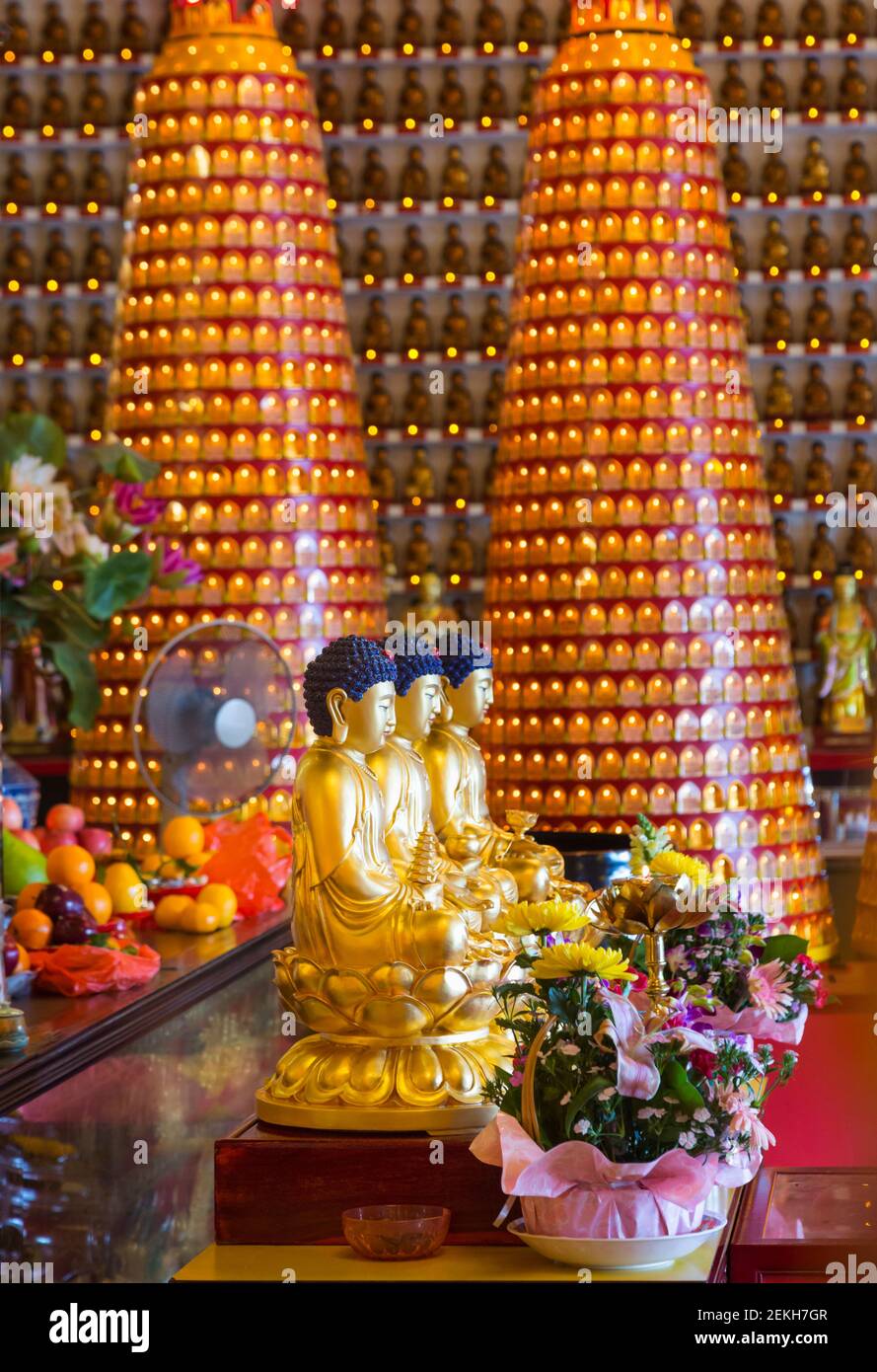 Hongkong, China. Ausstellung von Buddhas im zehntausend Buddhas Kloster in Pai Tau Tsuen, Sha Tin, in den Neuen Territorien. Stockfoto