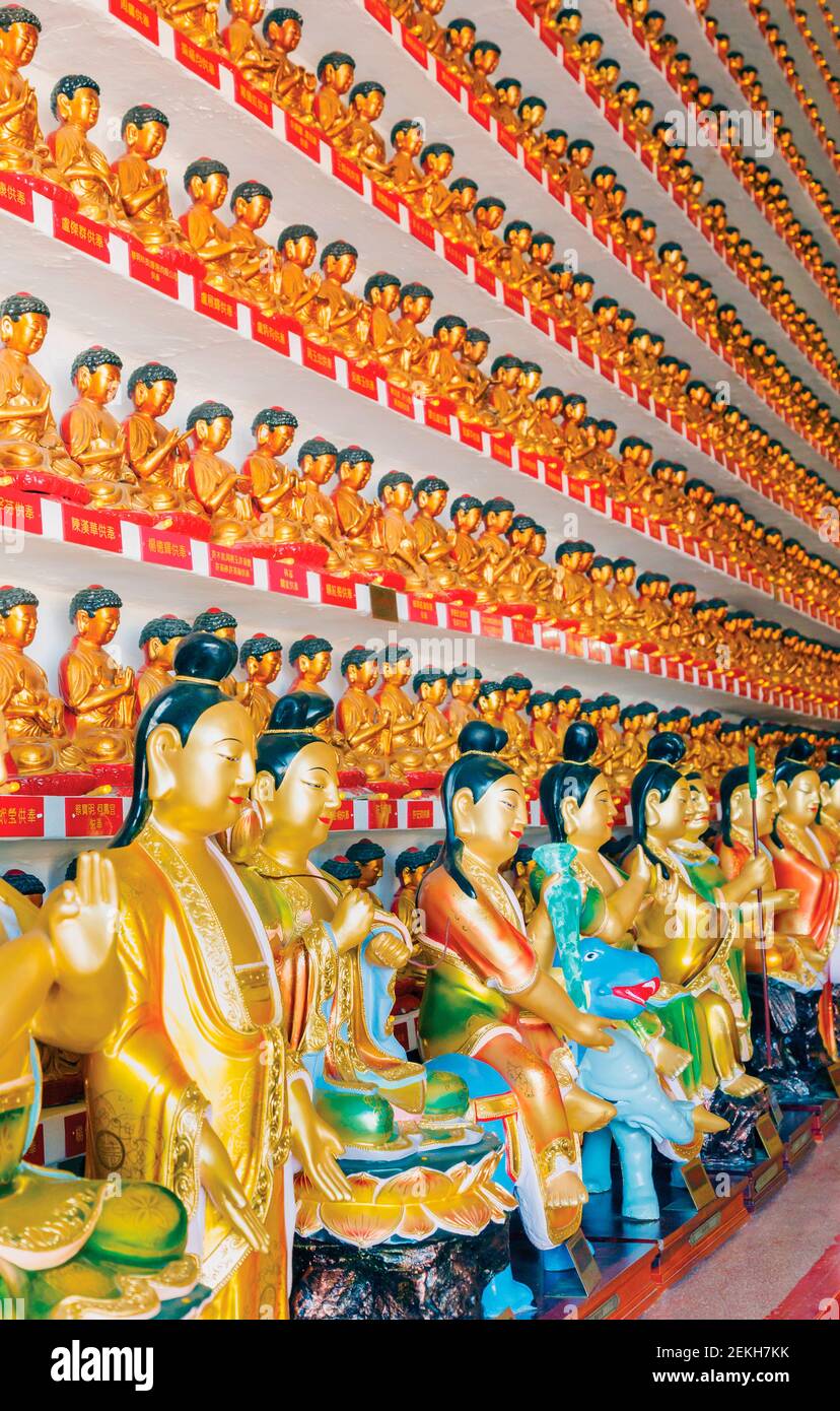 Hongkong, China. Ausstellung von Buddhas im zehntausend Buddhas Kloster in Pai Tau Tsuen, Sha Tin, in den Neuen Territorien. Stockfoto