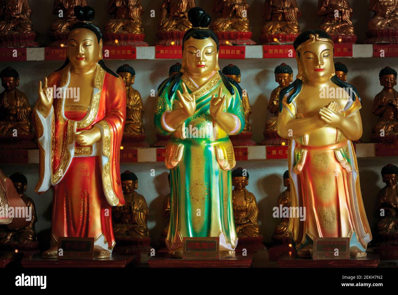 Hongkong, China. Ausstellung von Buddhas im zehntausend Buddhas Kloster in Pai Tau Tsuen, Sha Tin, in den Neuen Territorien. Stockfoto