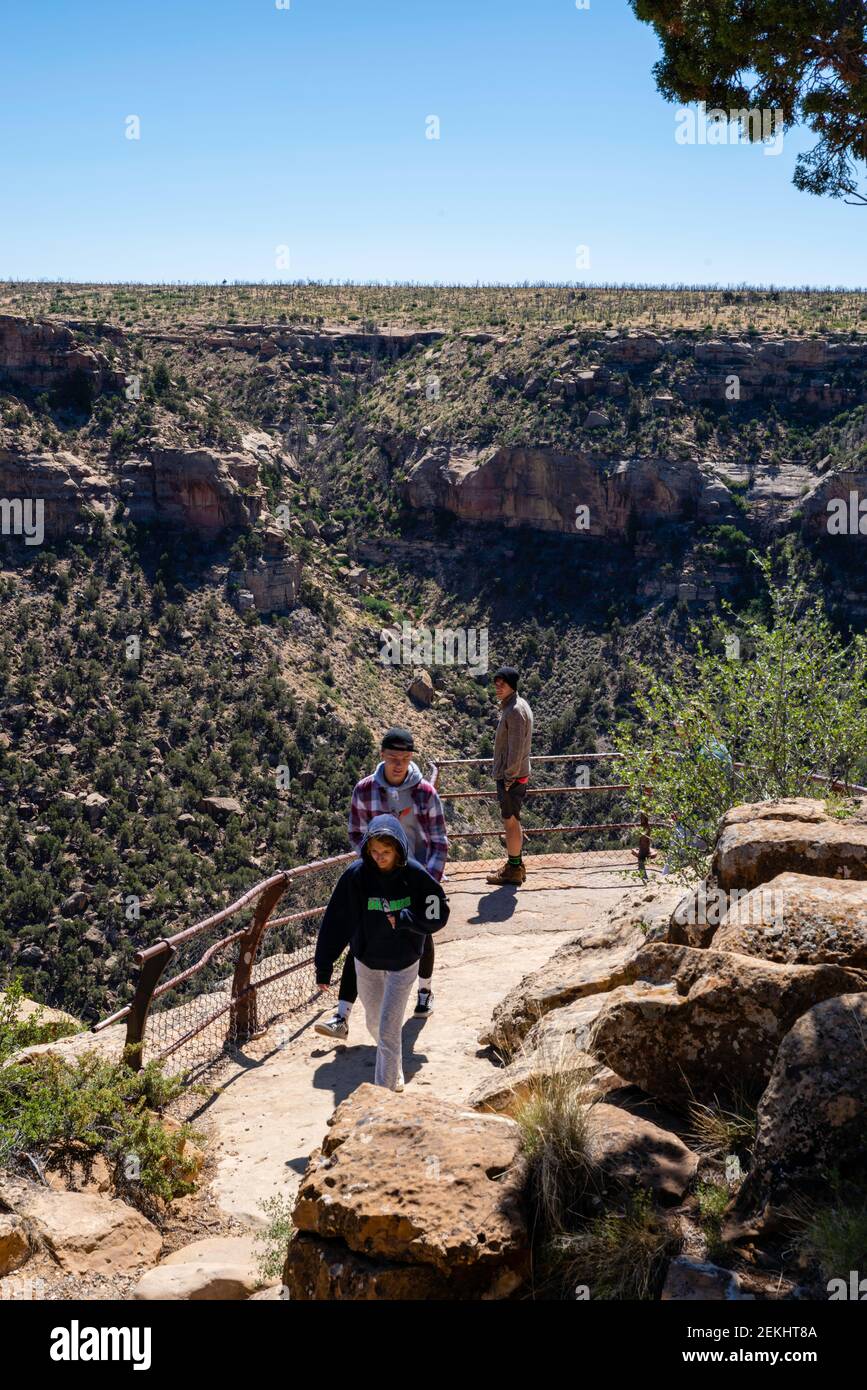 Bild aus dem Mesa Verde National Park in der Nähe von Durango, Colorado, mit alten Anasazi-Wohnungen. Stockfoto