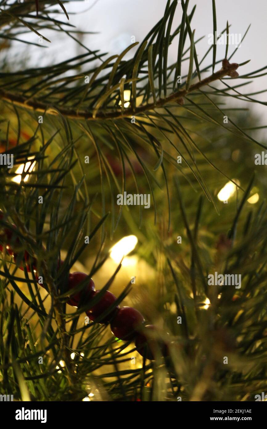 Weihnachtsbaum Lichter aus nächster Nähe Stockfoto