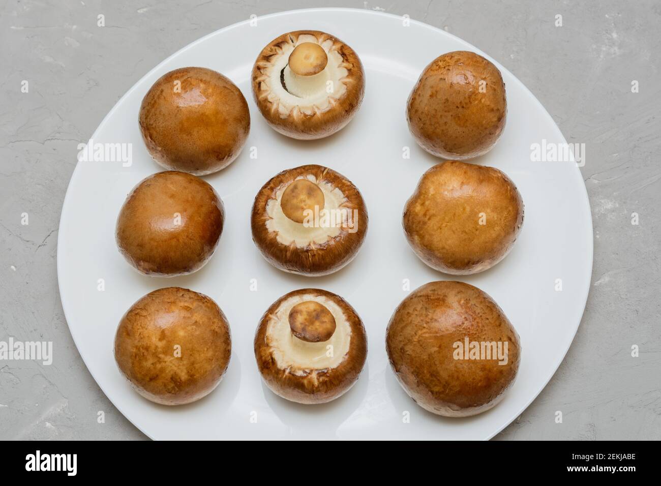 Königspilze mit braunem Hut auf weißem Teller. Große Pilze zum Kochen. Grauer Hintergrund, Draufsicht. Stockfoto