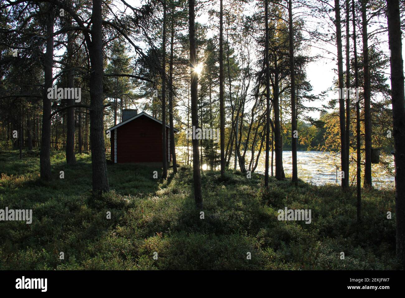 Haus im Wald Stockfoto