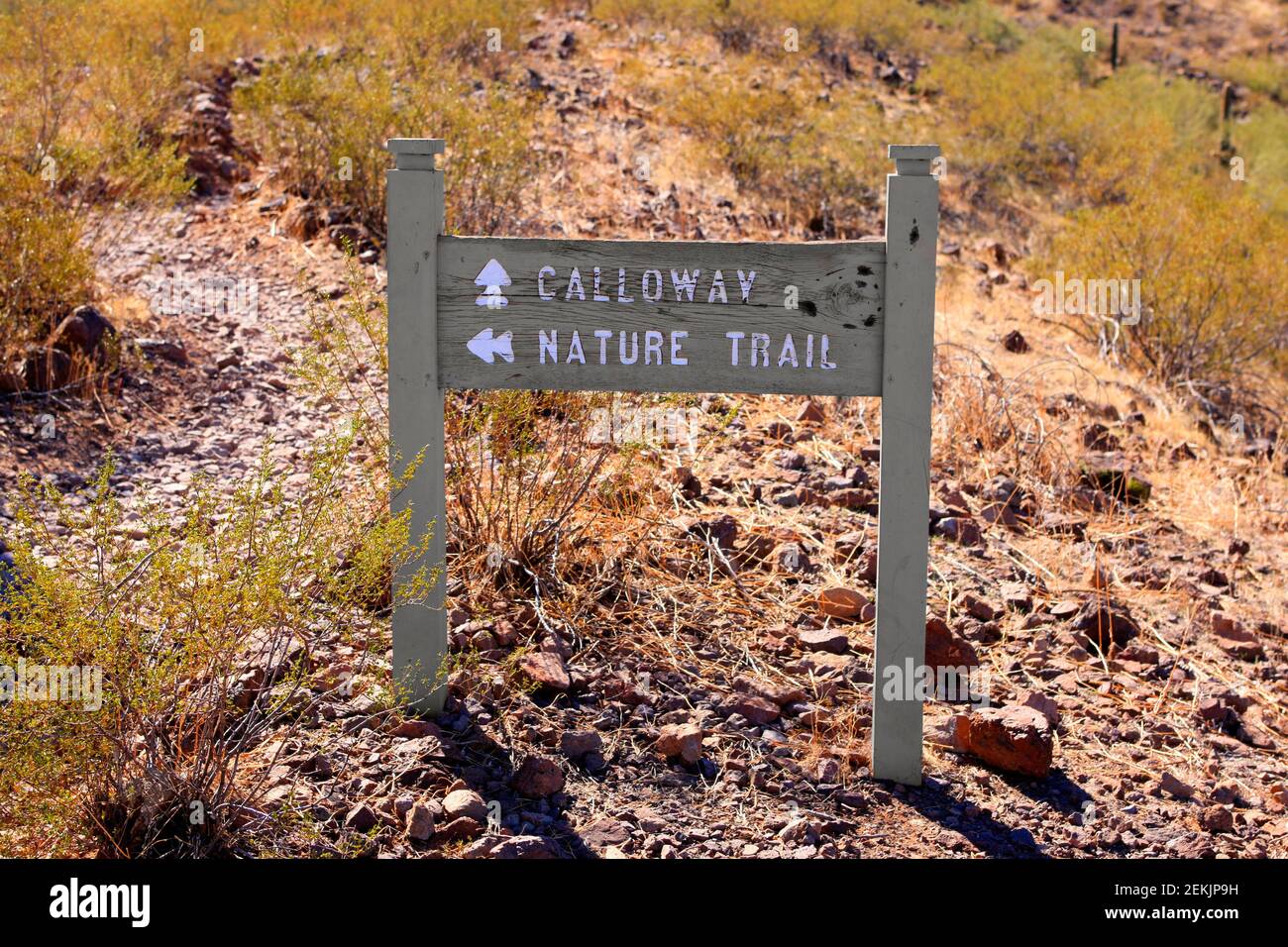 Calloway Trail und Nature Trail Zeichen in Picacho Peak State Park in Arizona Stockfoto