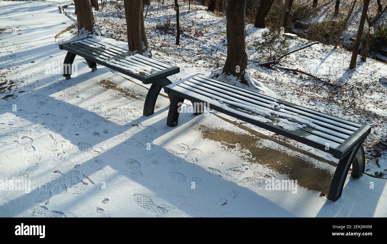 Verschneite Holzbänke auf dem Winterwanderweg Stockfoto