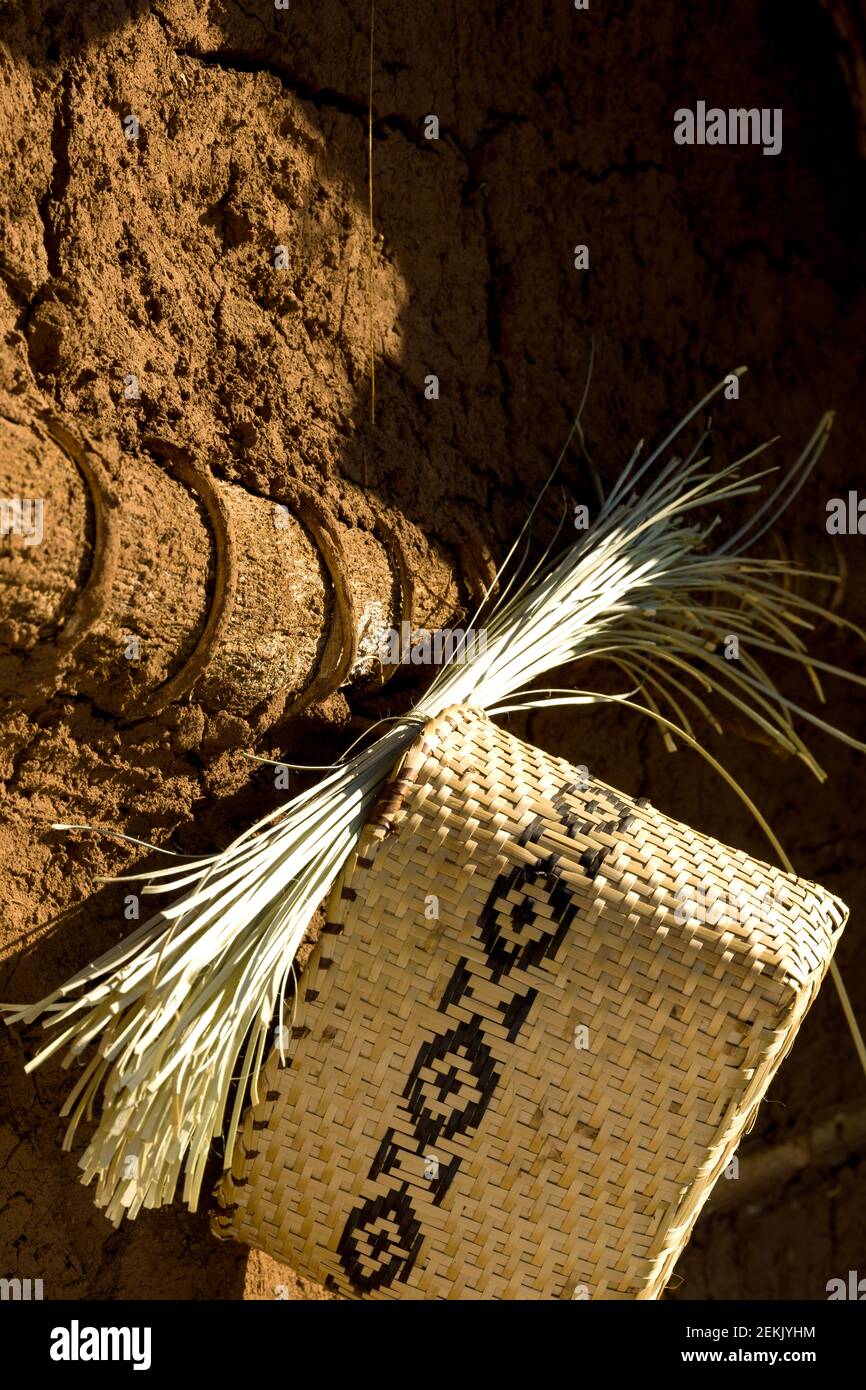Korbflechtwerk aus Gras-ähnliche Pflanze genannt sedge im Wald Südamerika. Stockfoto