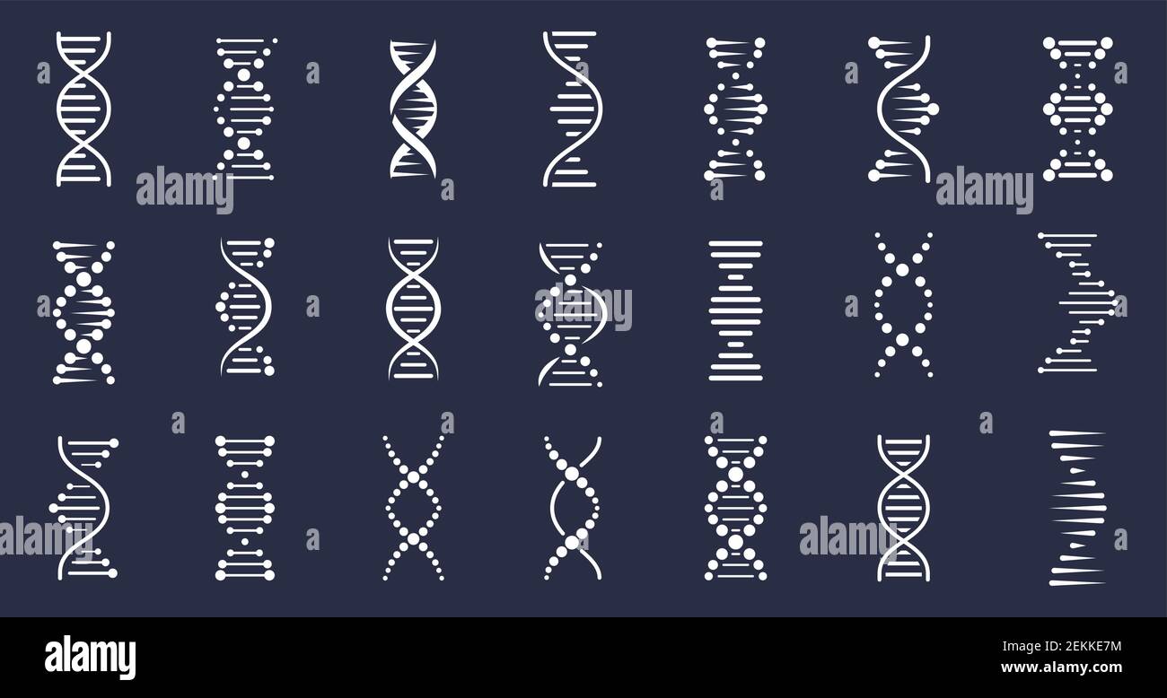 DNA-Symbole. Genetische Spiralstruktur, Genom-Helix. Biotechnologie molekulares Konzept, menschliche Chromosomenvektorelemente Stock Vektor