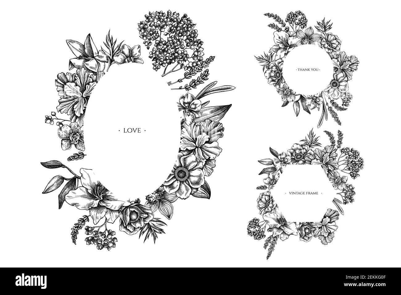 Blumenrahmen mit schwarz-weißen Anemone, Lavendel, Rosmarin Everlasting, phalaenopsis, Lilie, iris Stock Vektor