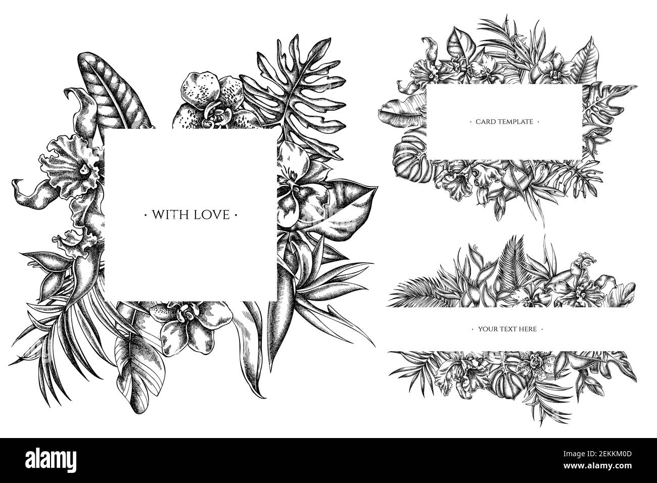 Blumenrahmen mit schwarzen und weißen Monstera, Bananenpalmenblättern, strelitzia, Heliconia, tropischen Palmenblättern, Orchidee Stock Vektor