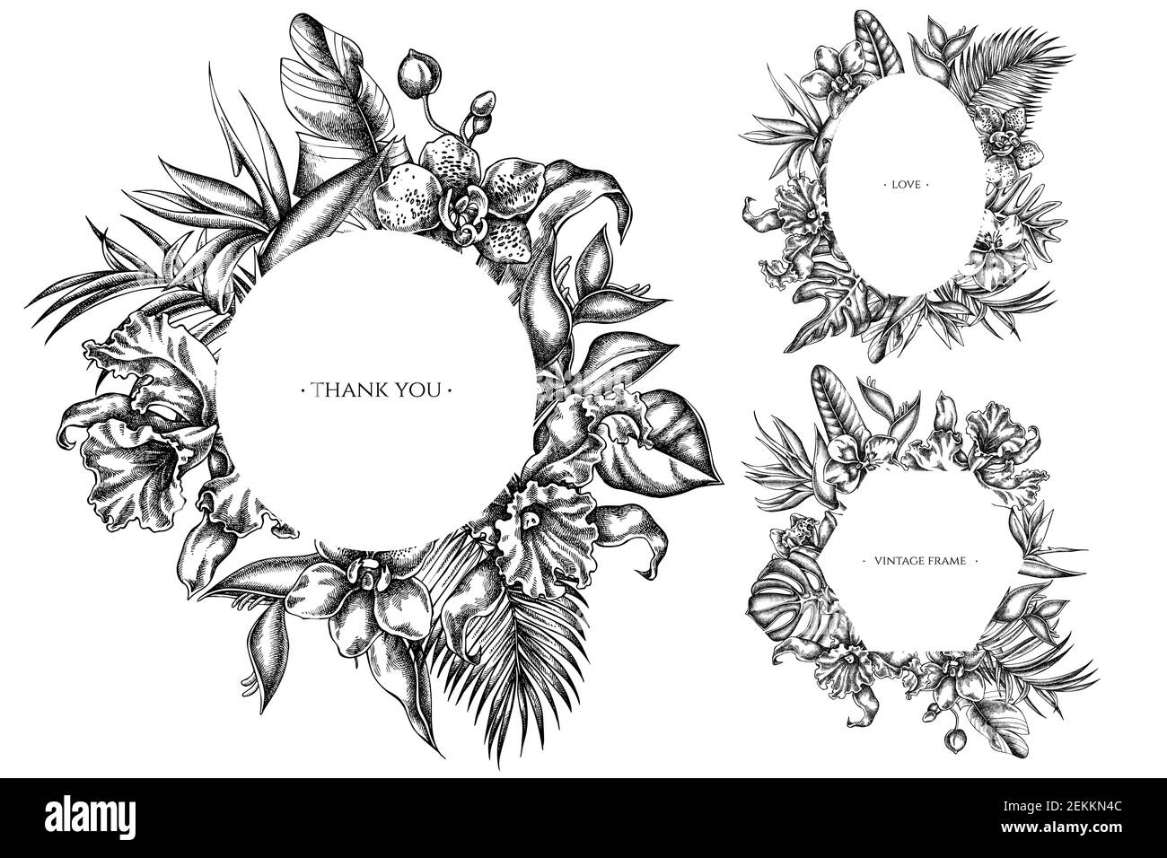 Blumenrahmen mit schwarzen und weißen Monstera, Bananenpalmenblättern, strelitzia, Heliconia, tropischen Palmenblättern, Orchidee Stock Vektor