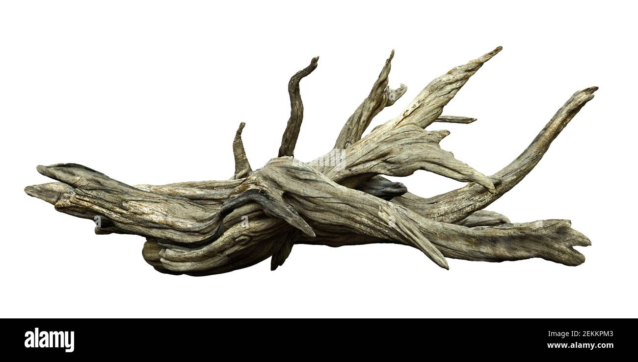 driftwood isoliert auf weißem Hintergrund, gealterte Äste Stockfoto